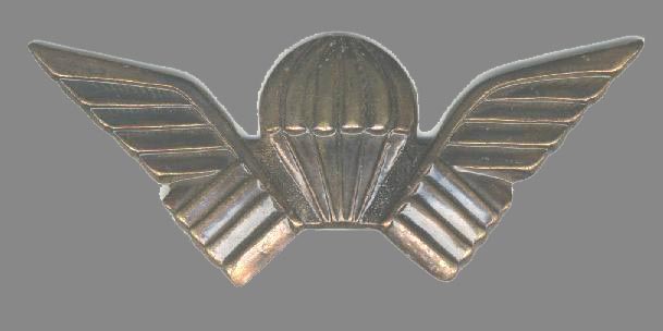 Metal pin-on PARA badge of the Selous Scouts.