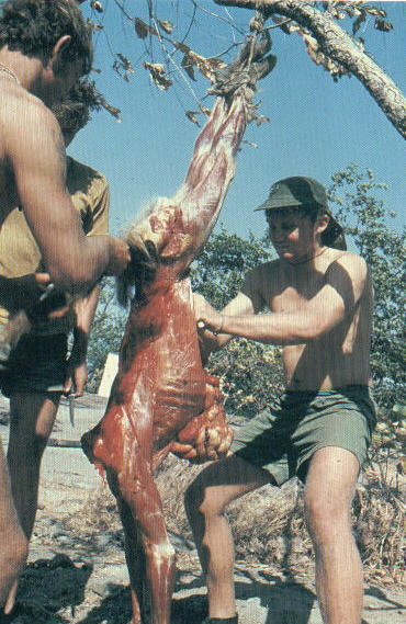 Scouts learn to skin monkeys and eat taint meat in survival conditions.