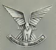 Selous Scout cap or beret badge/crest.