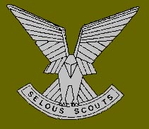 Selous Scouts osprey badge for beret or cap.