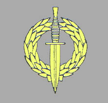 The South African Special Forces Operators badge of the RECCEs.